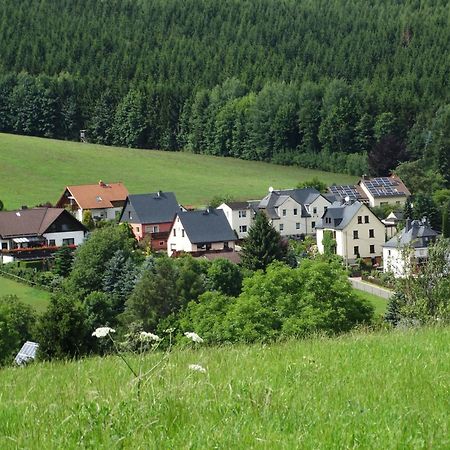 Ferienwohnung "Am Vaterlandsgrubenweg" Oelsnitz  Zewnętrze zdjęcie